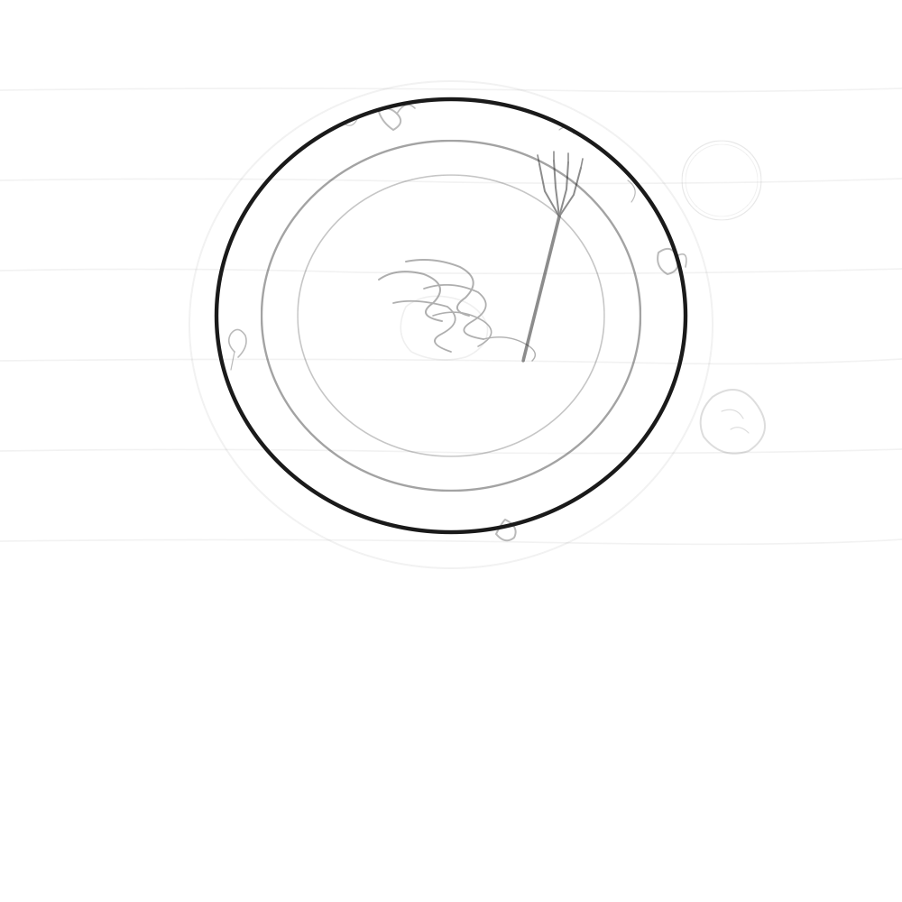 L'assiette du lendemain